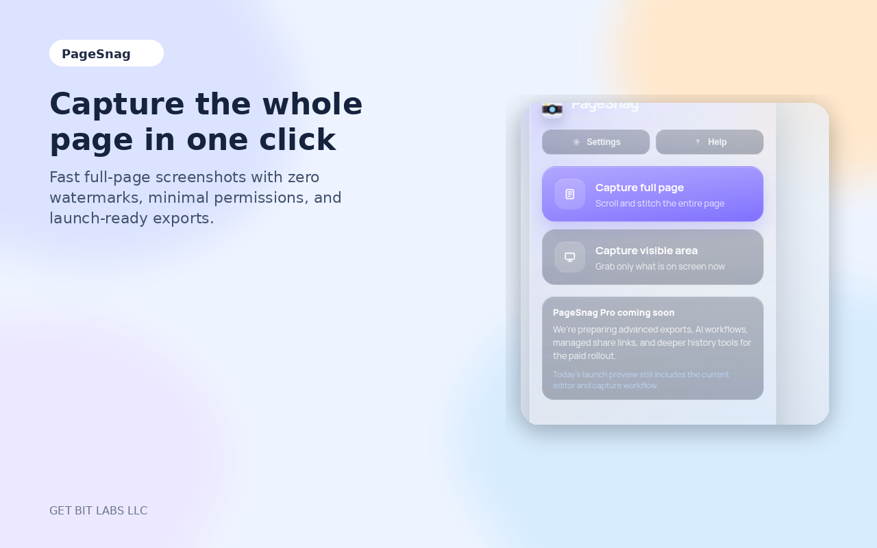 PageSnag capture workflow screenshot